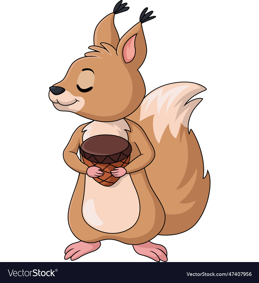Cute squirrel cartoon holding a nut