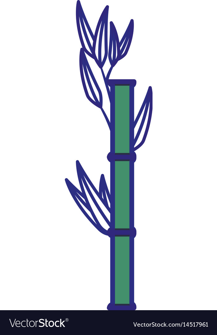 Bamboo japanese tree Royalty Free Vector Image