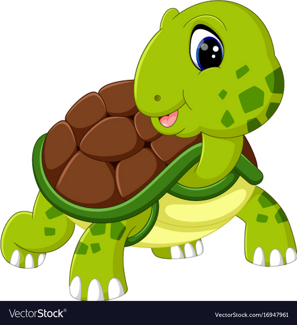 Cute turtle cartoon Royalty Free Vector Image - VectorStock