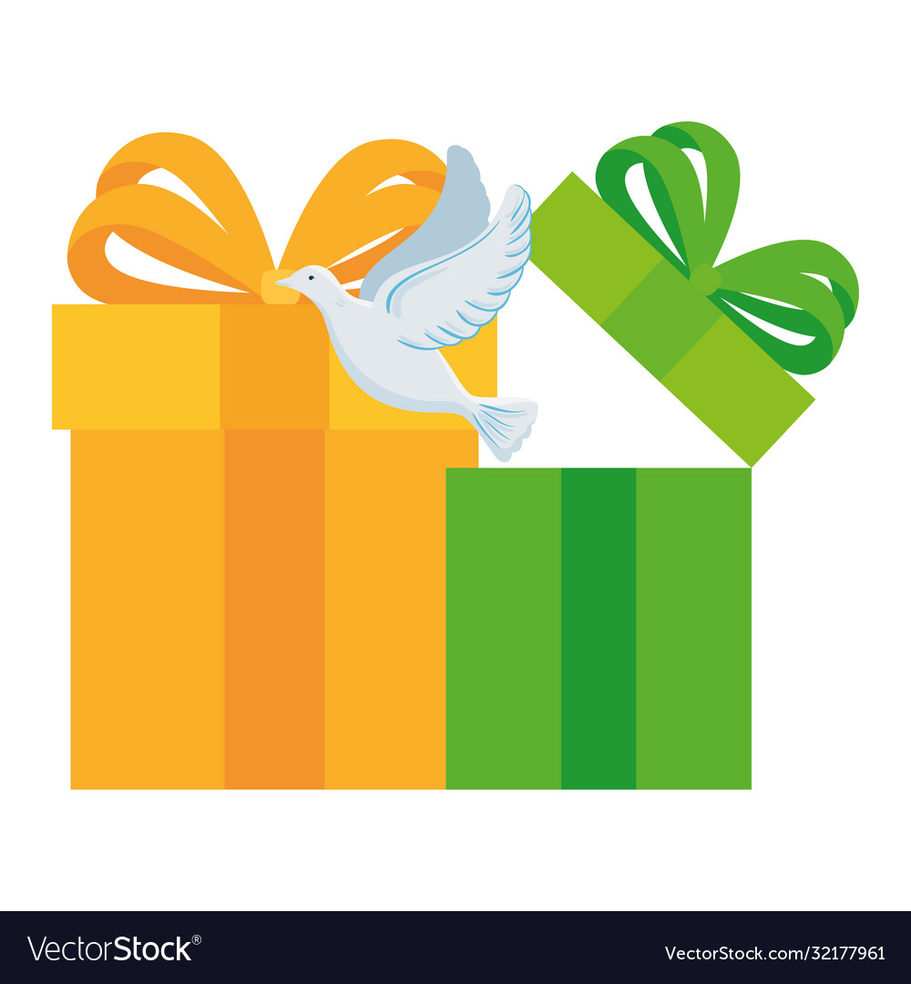 Gift Boxes White Dove Coming Out Box Royalty Free Vector