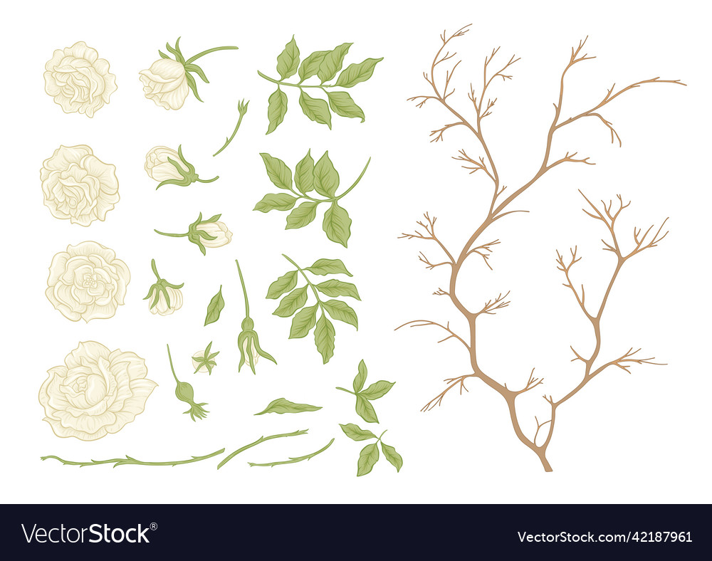 Roses flowers on branches millefleurs trendy