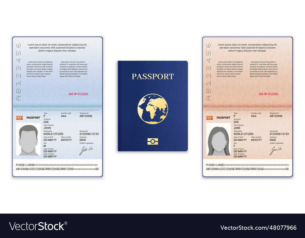 Passport template international open Royalty Free Vector