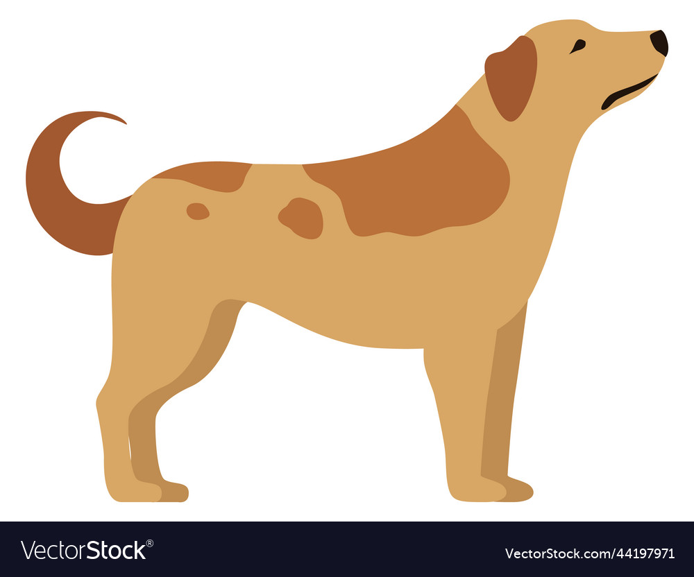 Dog standing cartoon pet domestic animal Vector Image Dog standing cartoon pet domestic animal Vector Image