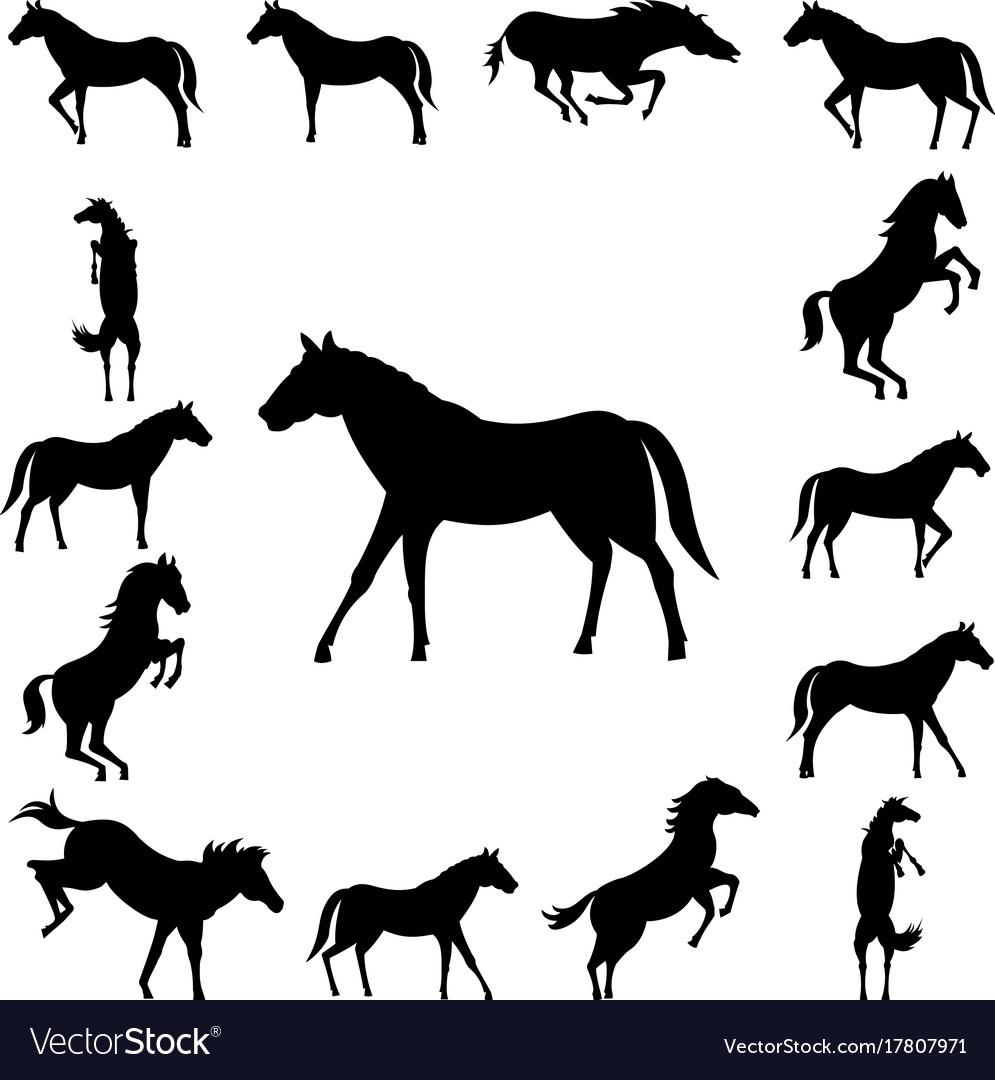 Horse Silhouettes - Wild Horses