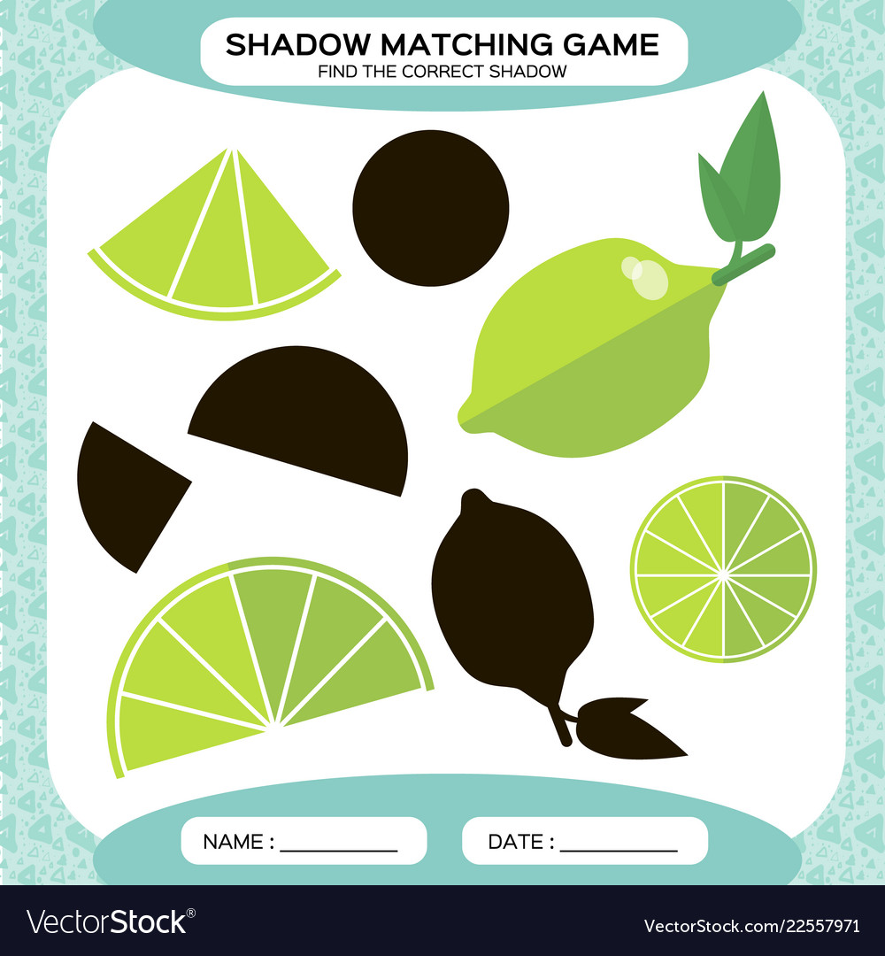 Shadow matching game find the correct shadows vector image Shadow matching game find the correct shadows