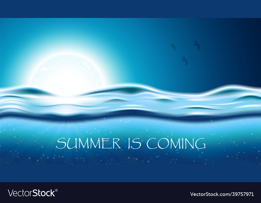 Summer night vector image Summer night