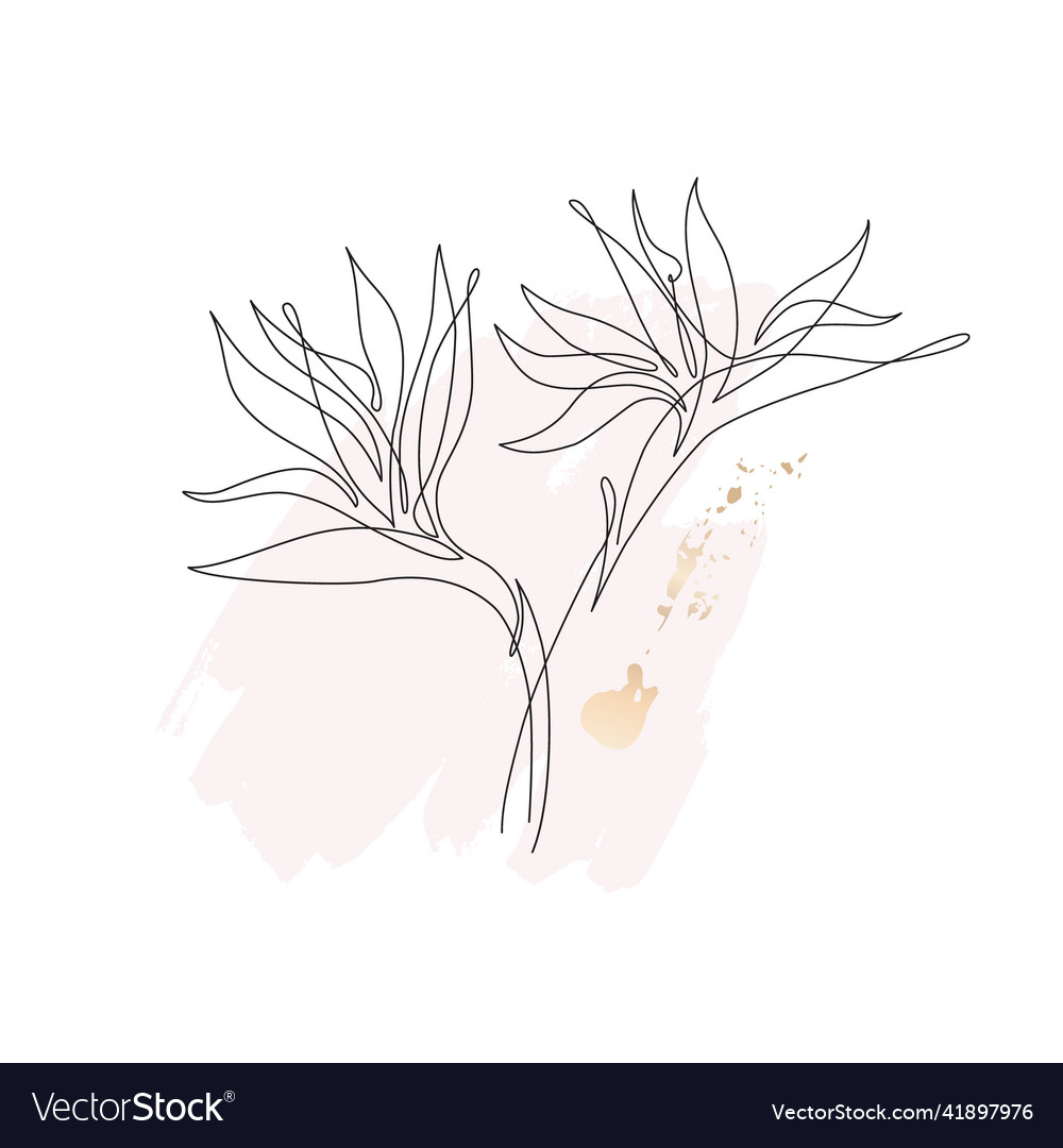 Minimal kontinuierliche Linie Kunst Blume auf geometrische vector image Minimal kontinuierliche Linie Kunst Blume auf geometrische