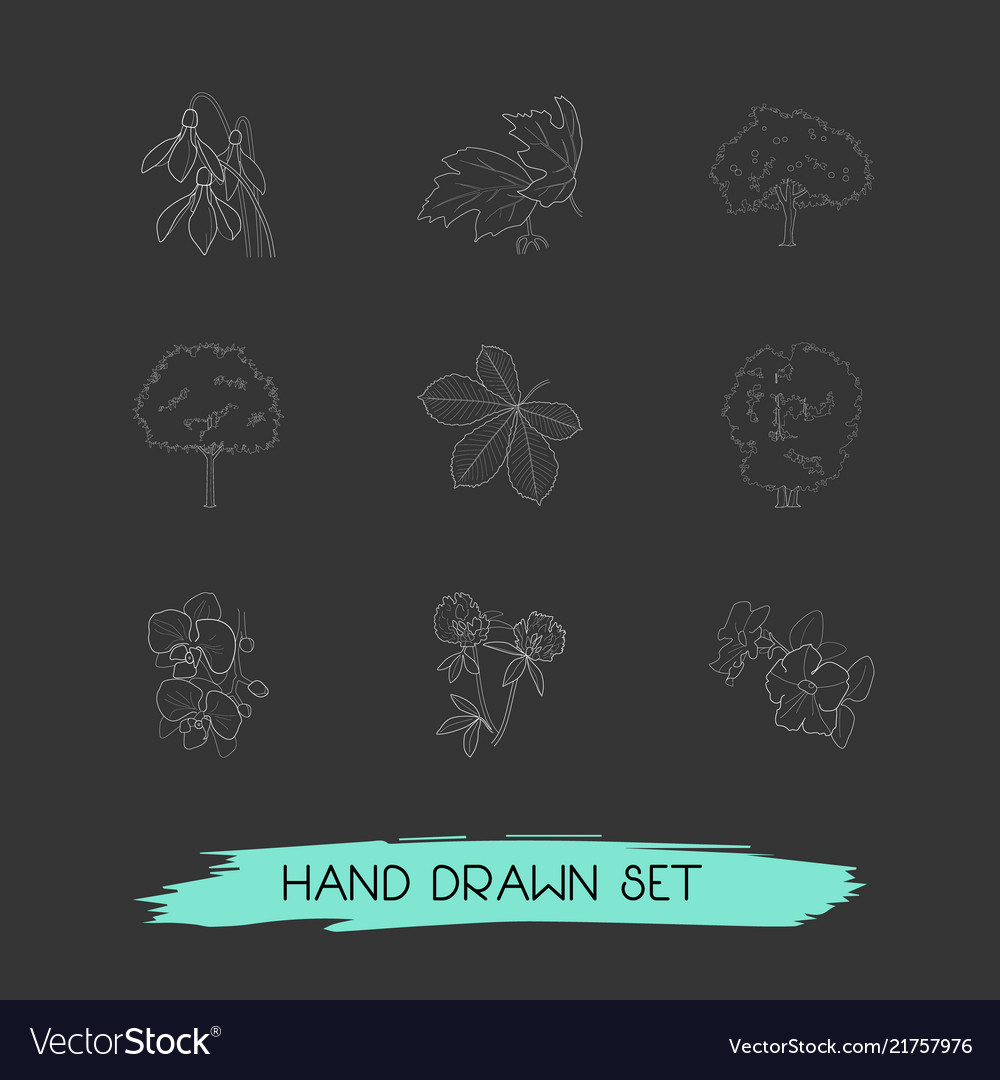 Set botany icons line style symbols Vector Image Set botany icons line style symbols