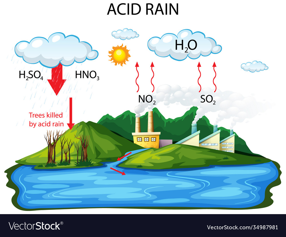 acid precipitation cycle