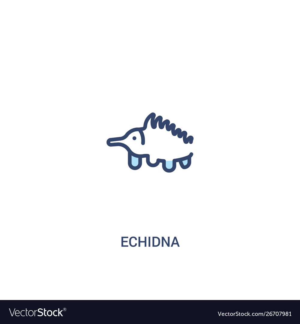 Echidna concept 2 colored icon simple line vector image Echidna concept 2 colored icon simple line