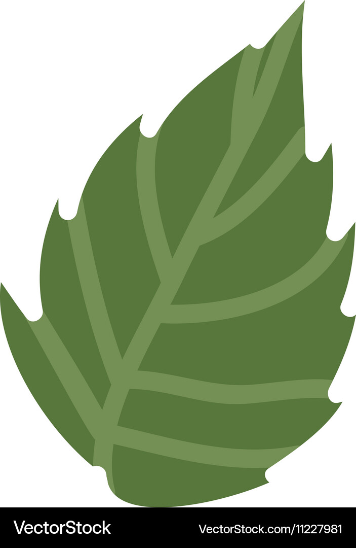 Green leaf icon Royalty Free Vector Image - VectorStock