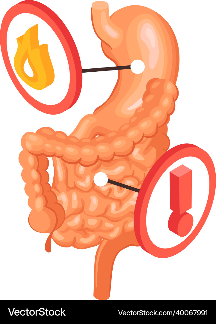 Gastroenterology problems finding composition Vector Image