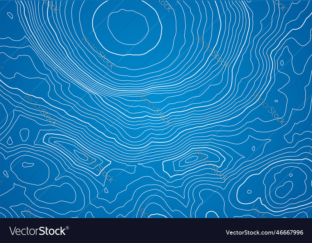 Abstract topographic map background with height vector image Abstract topographic map background with height