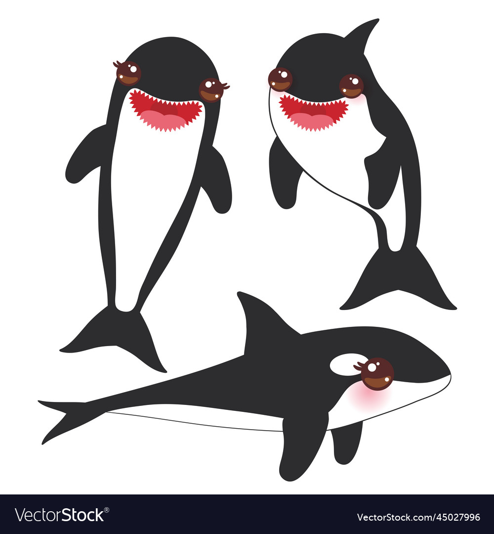 Cartoon grampus orca set killer whale sea wolf