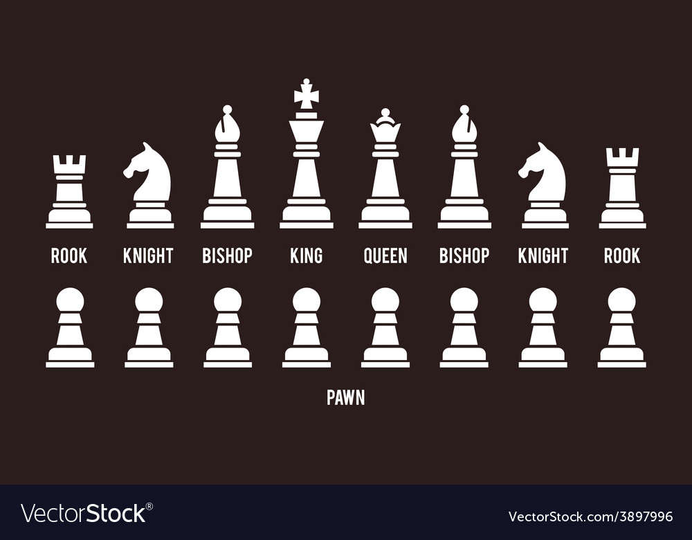 Chess piece name set Royalty Free Vector Image