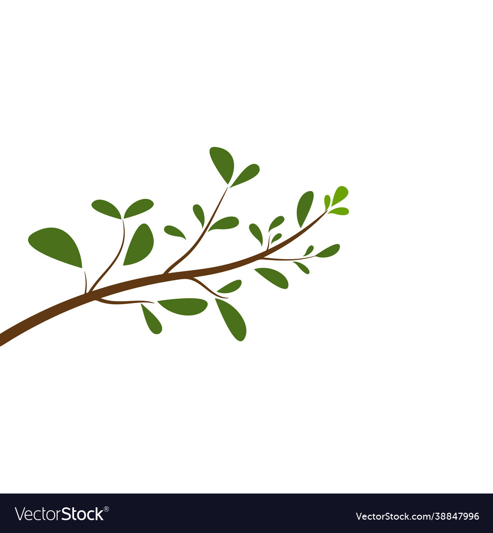 Tree branch design vector image Tree branch design