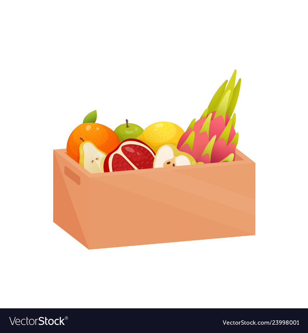 Sweet dessert in deep rectangular box isolated vector image Sweet dessert in deep rectangular box isolated