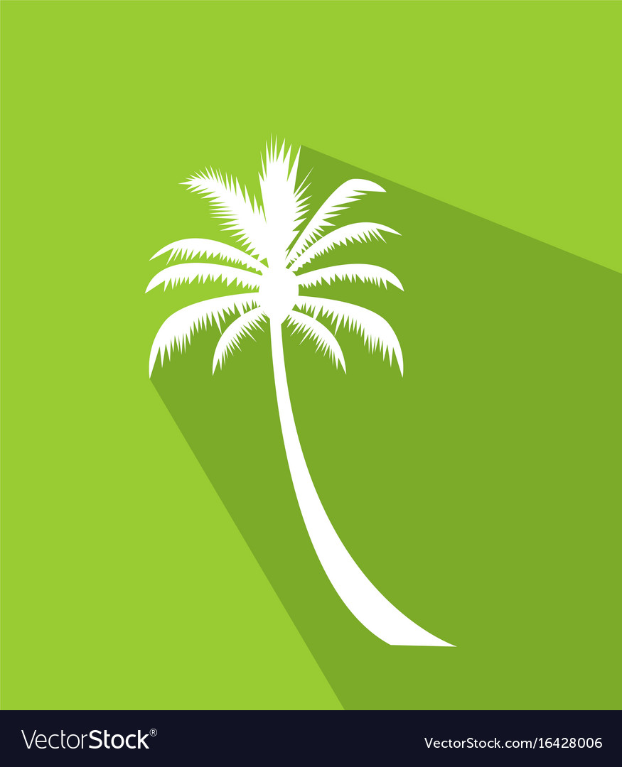 Palm tree image