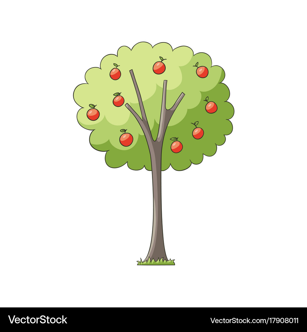 Flat apple tree isolated Royalty Free Vector Image