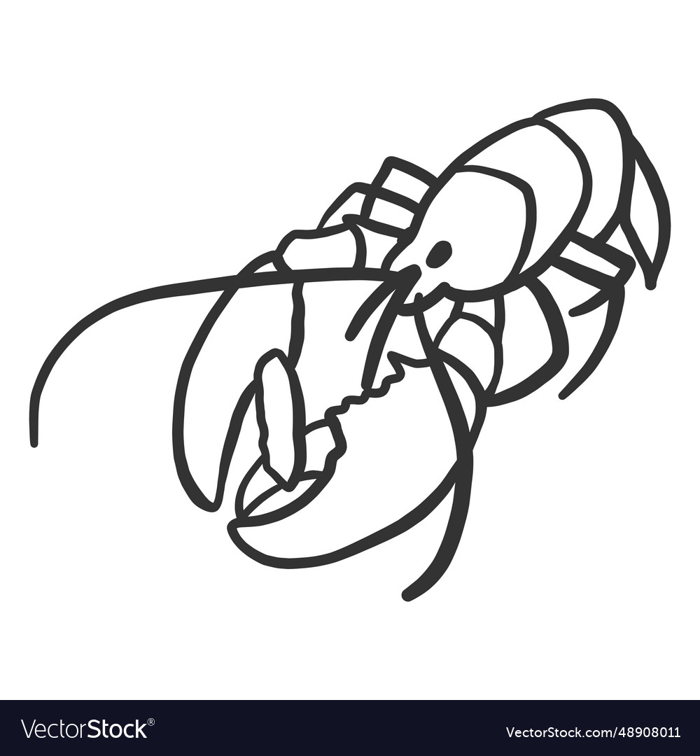 Lobster antenna tail claw doodle Royalty Free Vector Image