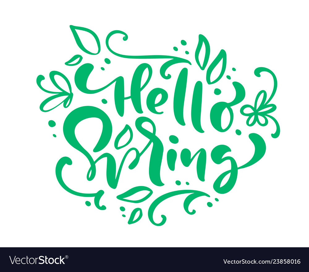 Hello Spring Calligraphy Lettering Phrase Vector Image