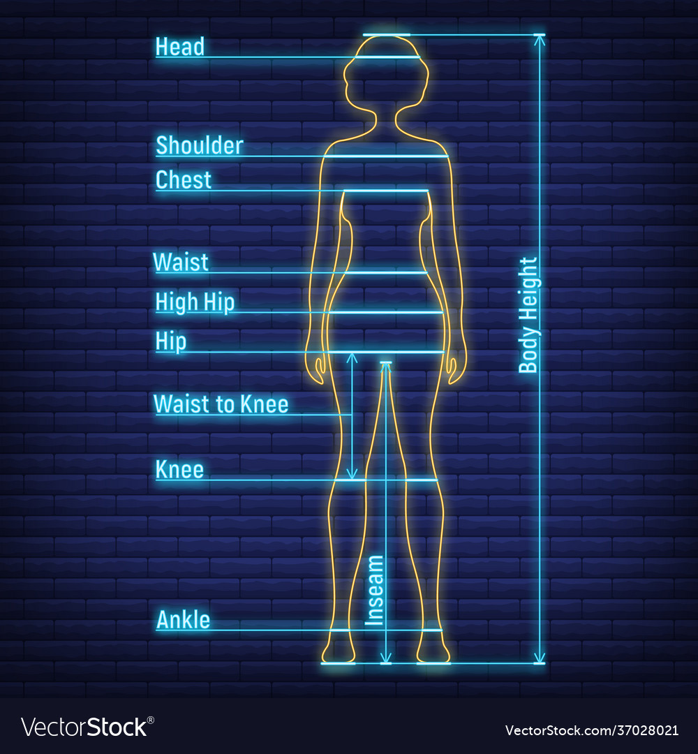 Female male neon glow size chart anatomy human