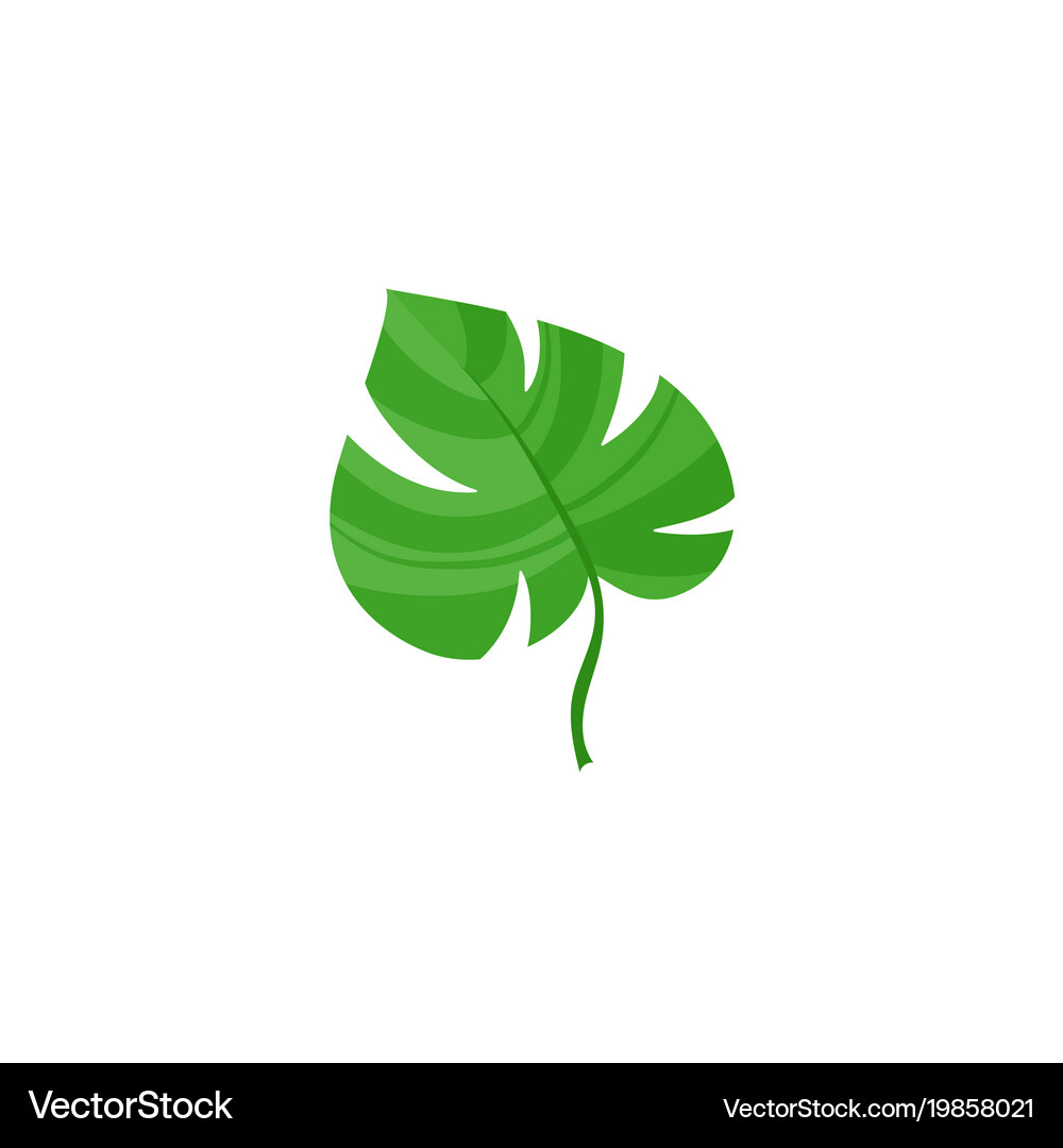 Flat tropical monstera leaf summer icon Royalty Free Vector