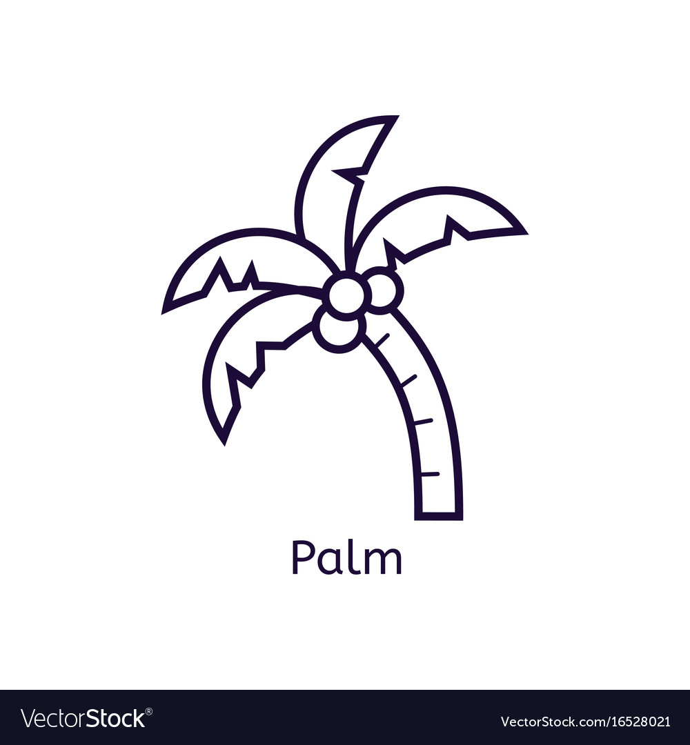 Icon of palm on a white background