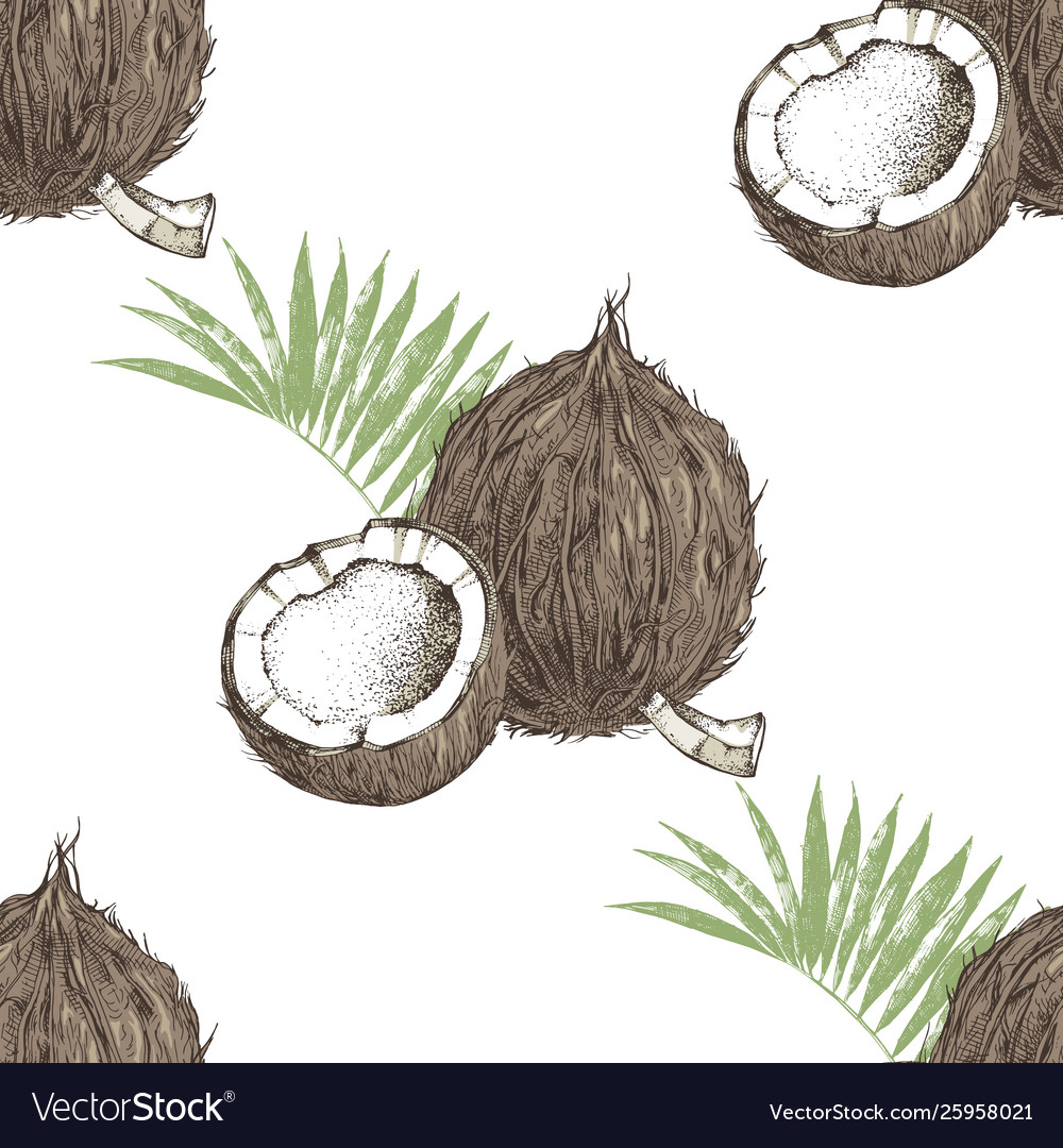 Seamless pattern with hand drawn coconut with half vector image Seamless pattern with hand drawn coconut with half