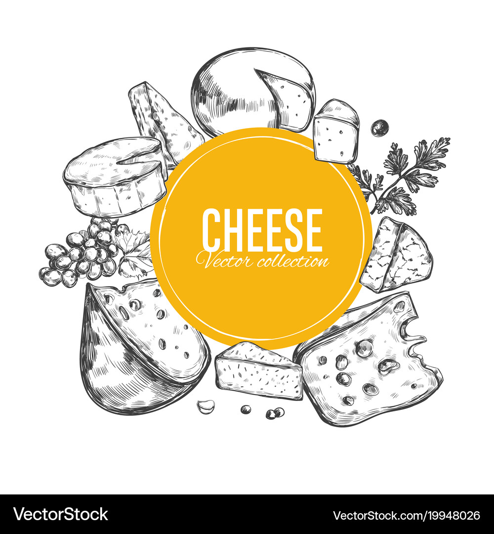 Cheese Variety Collection Royalty Free Vector Image