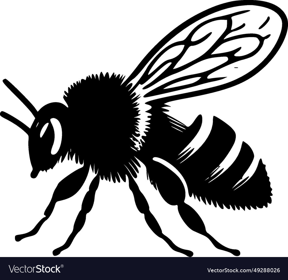 Honeybee - black and white