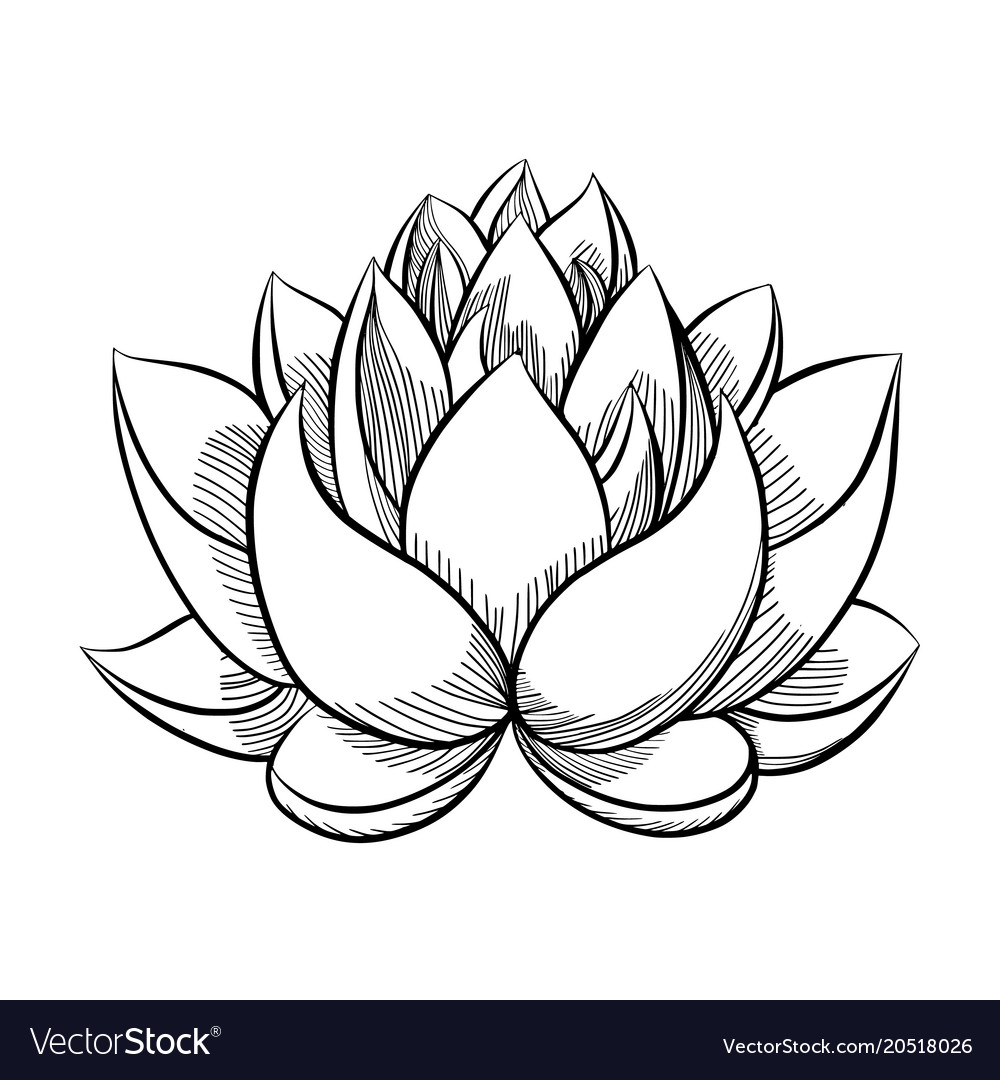 Hotmen: Black And White Lotus Flower Design