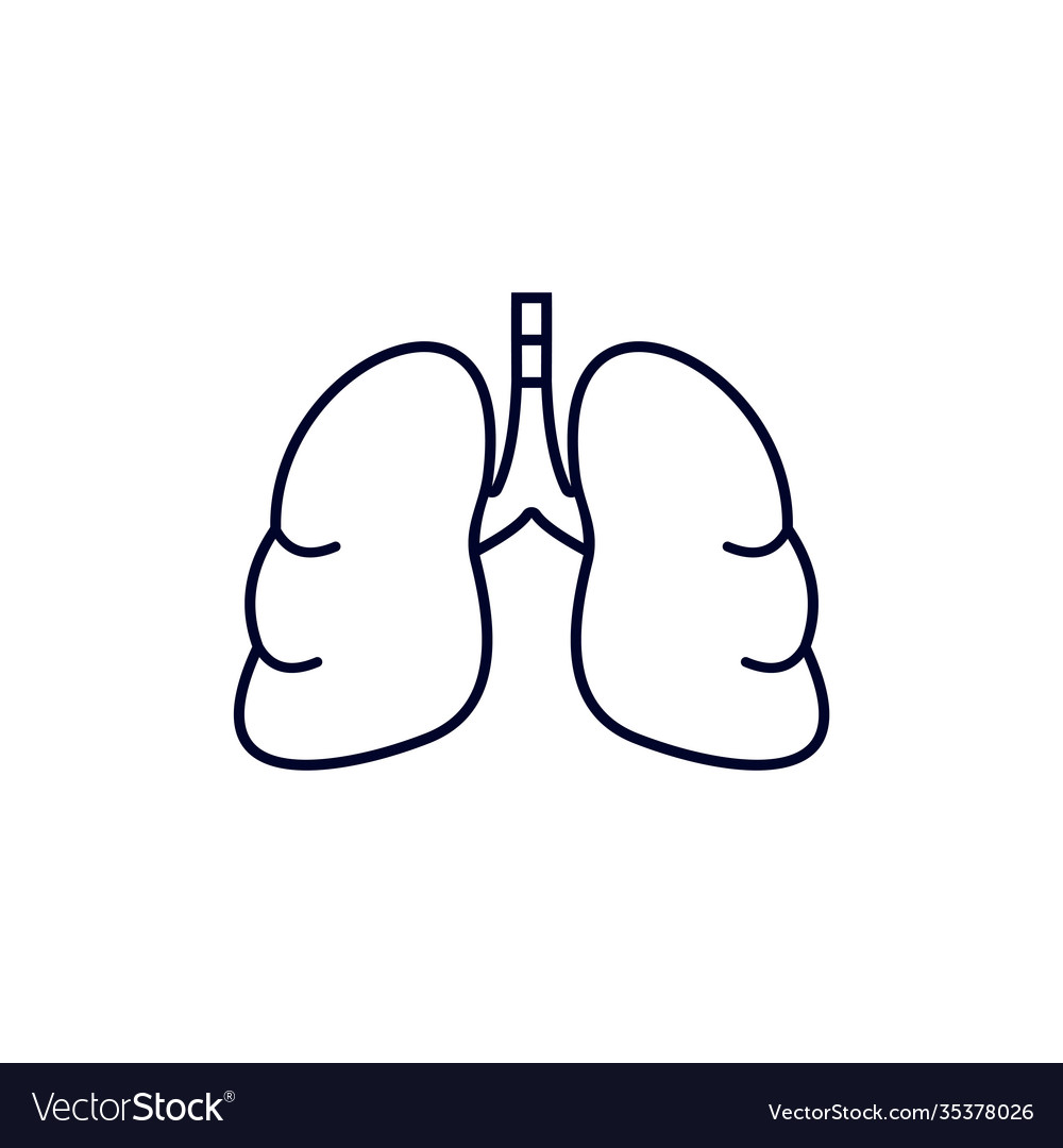 Lung logo design template organs logo design Vector Image