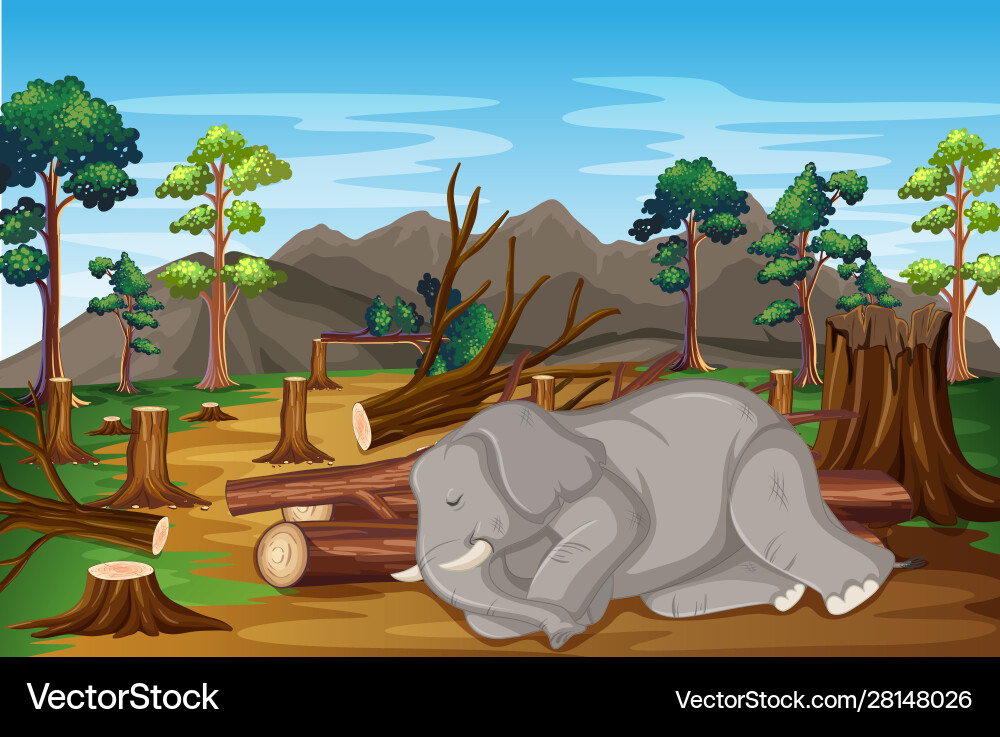 Scene With Sick Elephant And Deforestation Vector Image