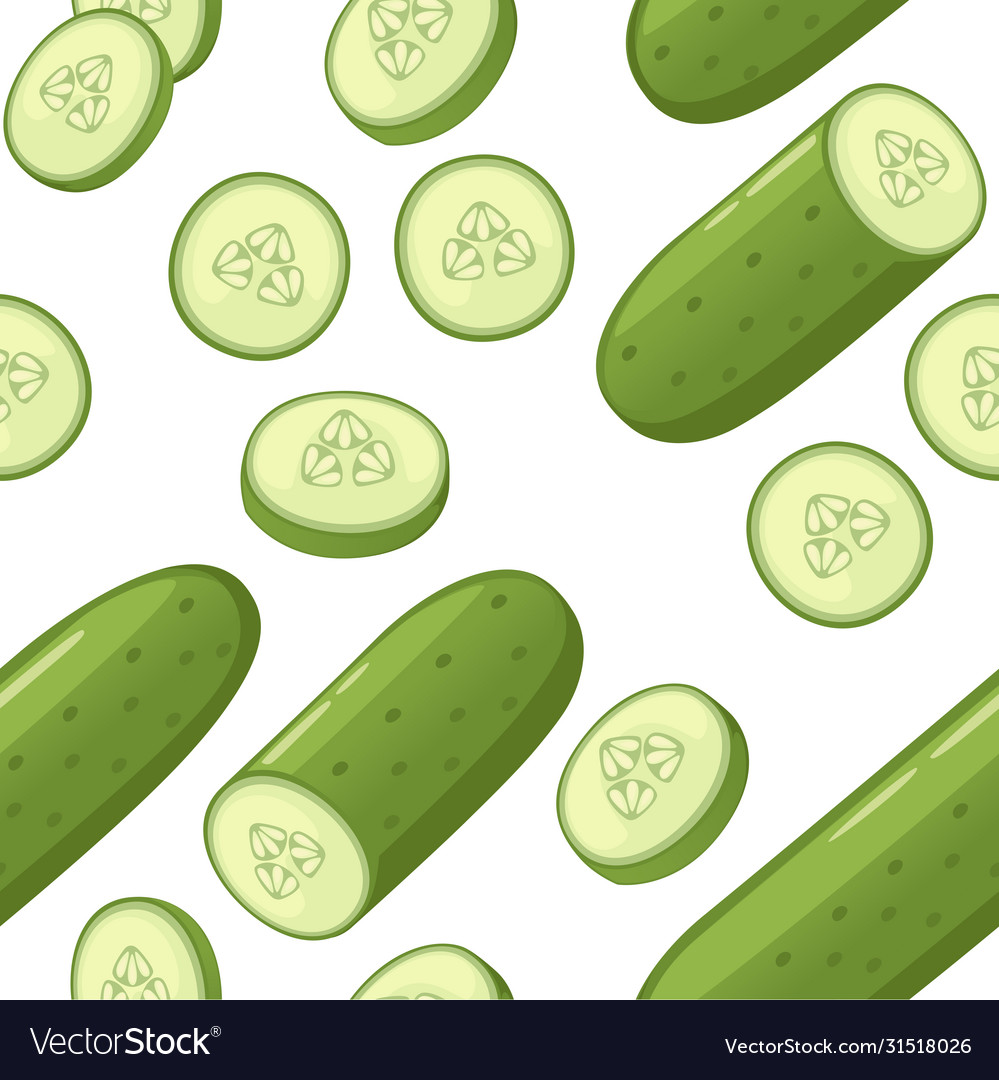 Seamless pattern fresh cucumber and slice vector image Seamless pattern fresh cucumber and slice