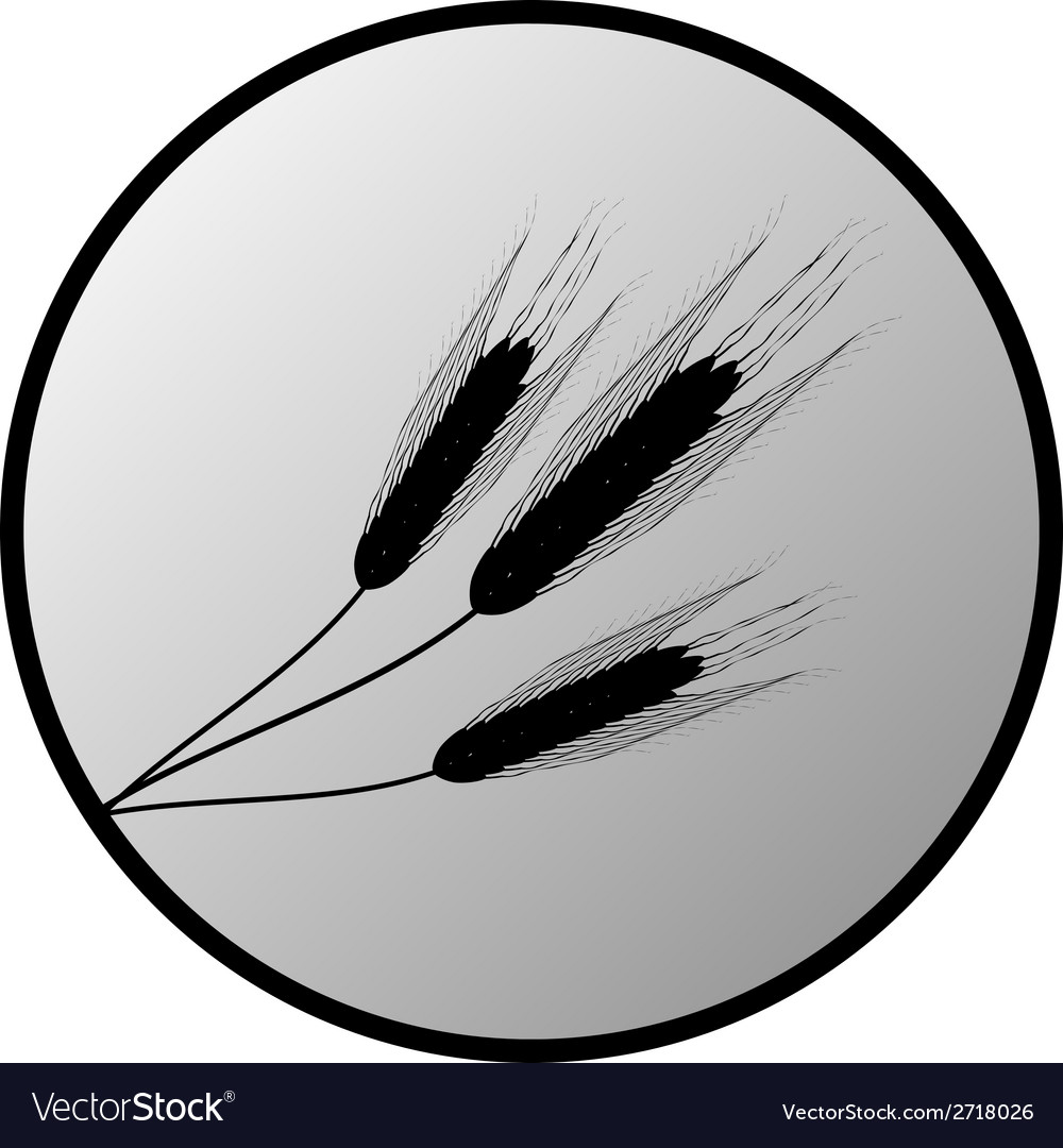 Wheat button