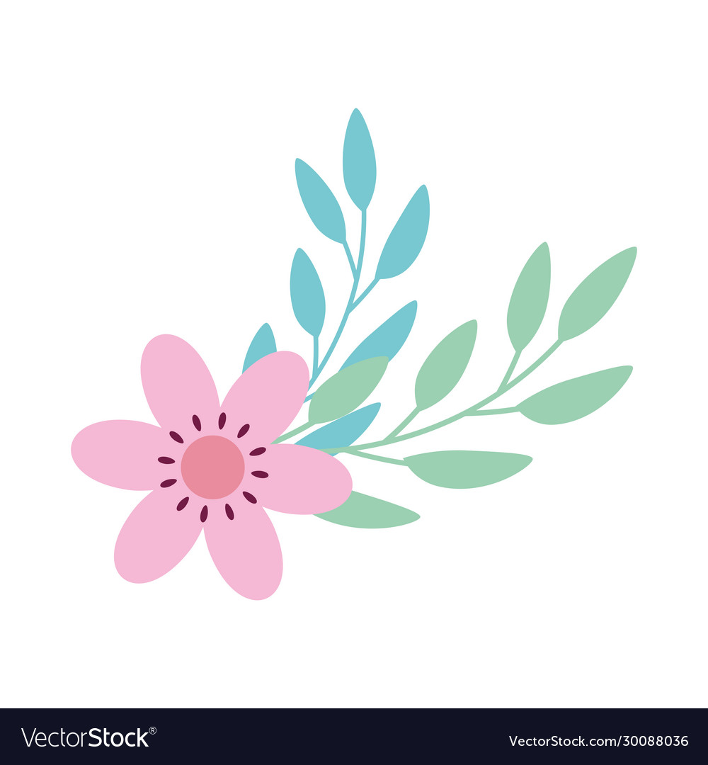 Cute flower pink with branches and leafs Vector Image