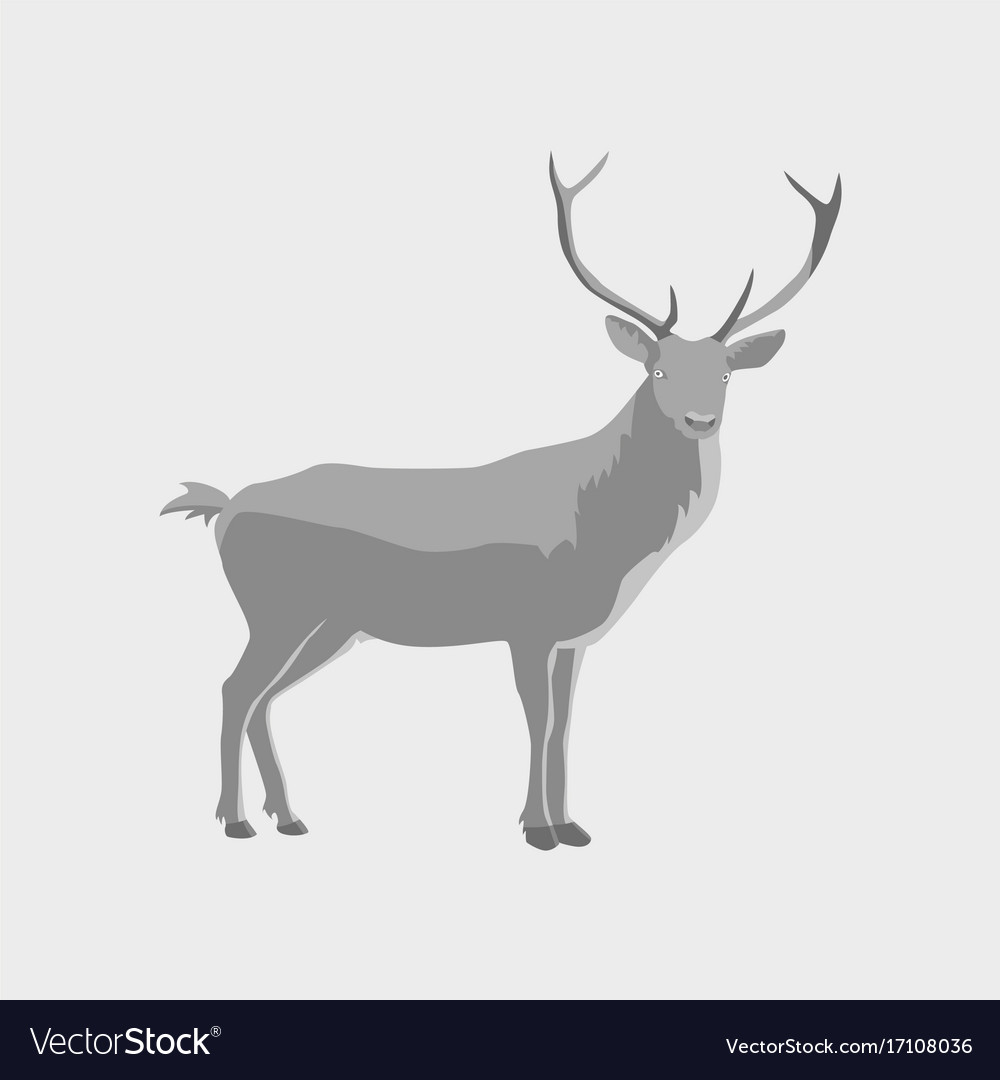 In flat style deer