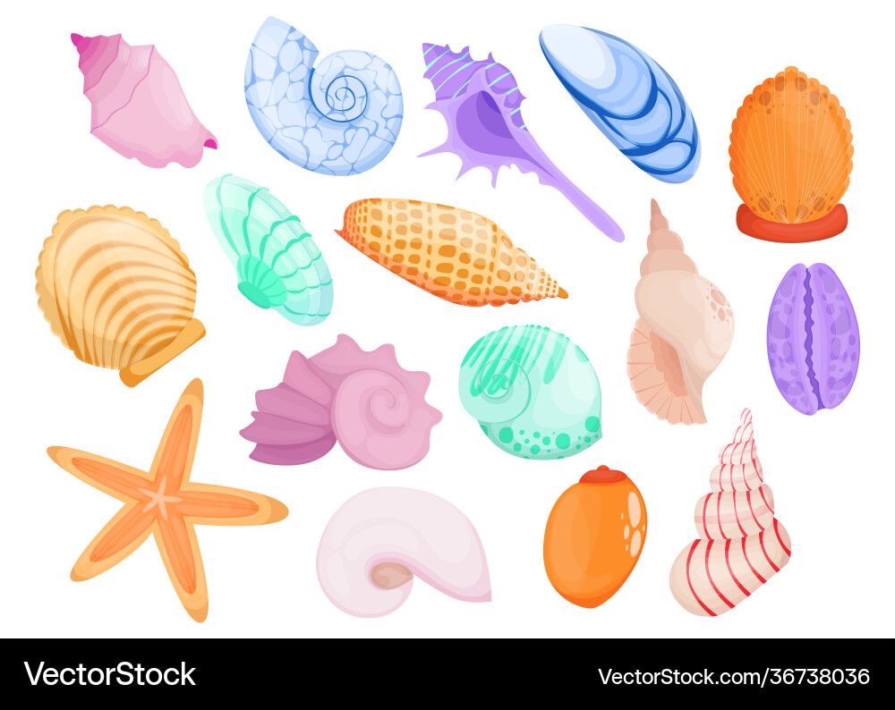 Multicolor hand drawn seashell flat item set Vector Image