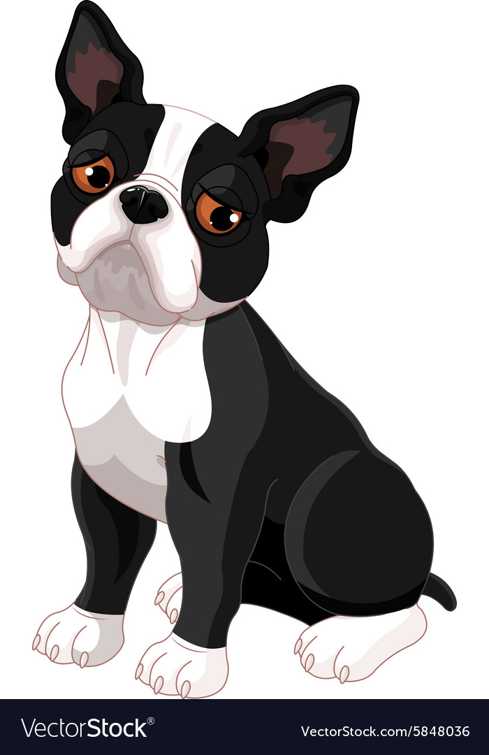 4th of july boston terrier clipart