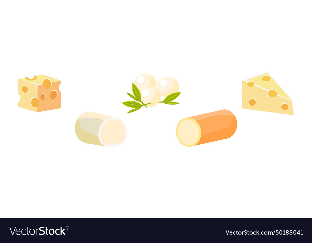 Cheese different type flat icon and object