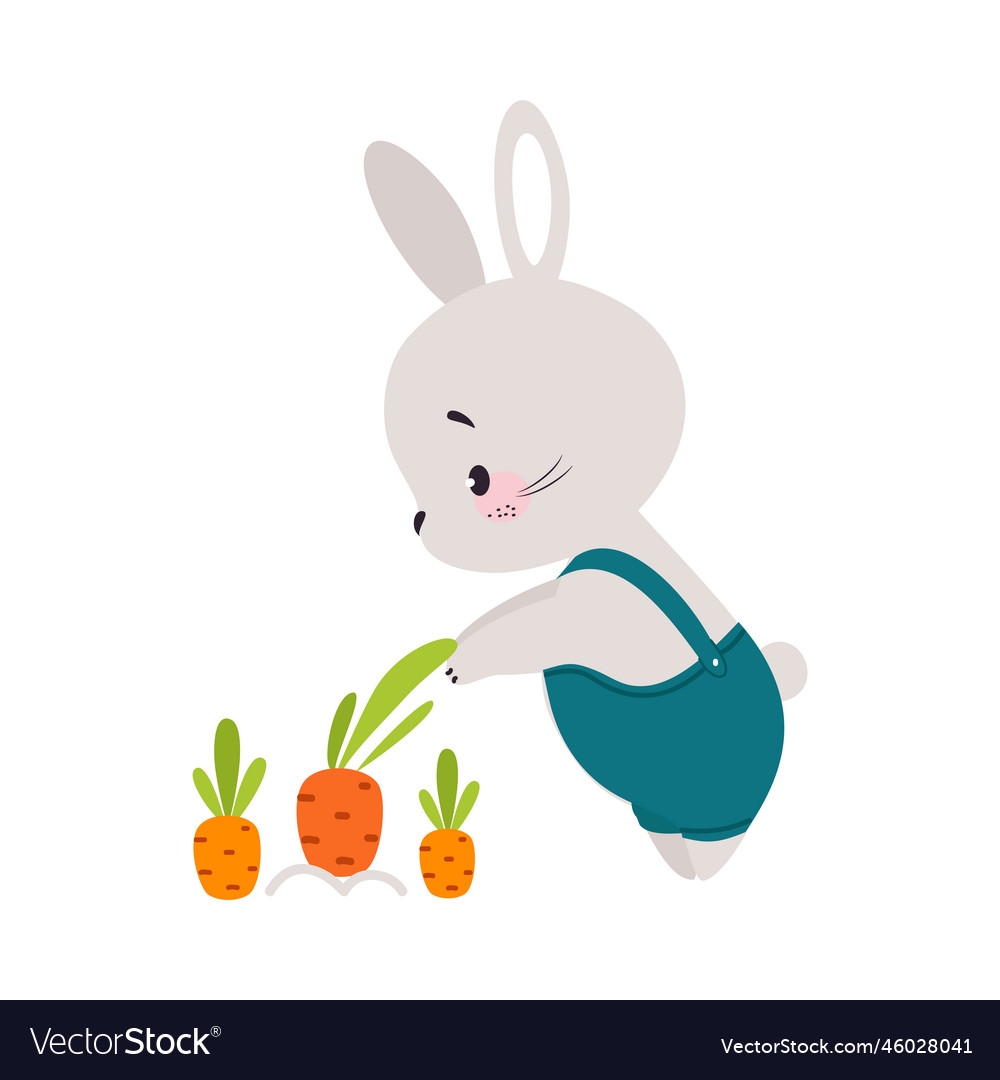 Cute bunny character watching carrot crop growing Vector Image