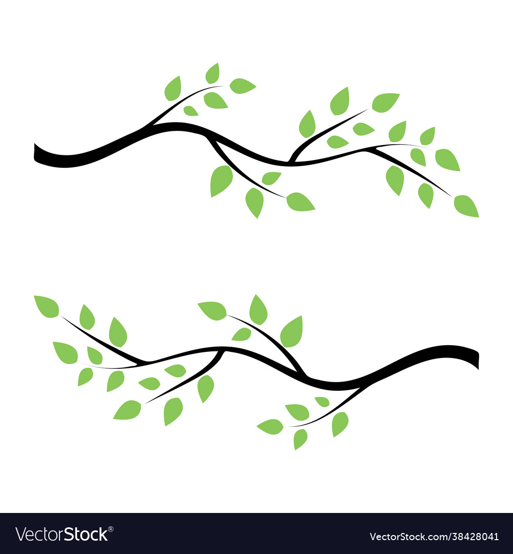 Elegant Branch Pattern