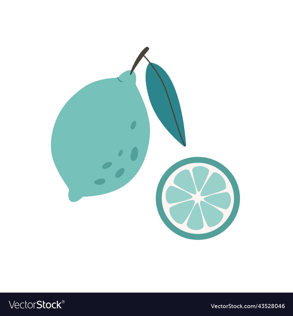 Fresh Lime With Lime Slice Citrus Fruit Healthy Vector Image