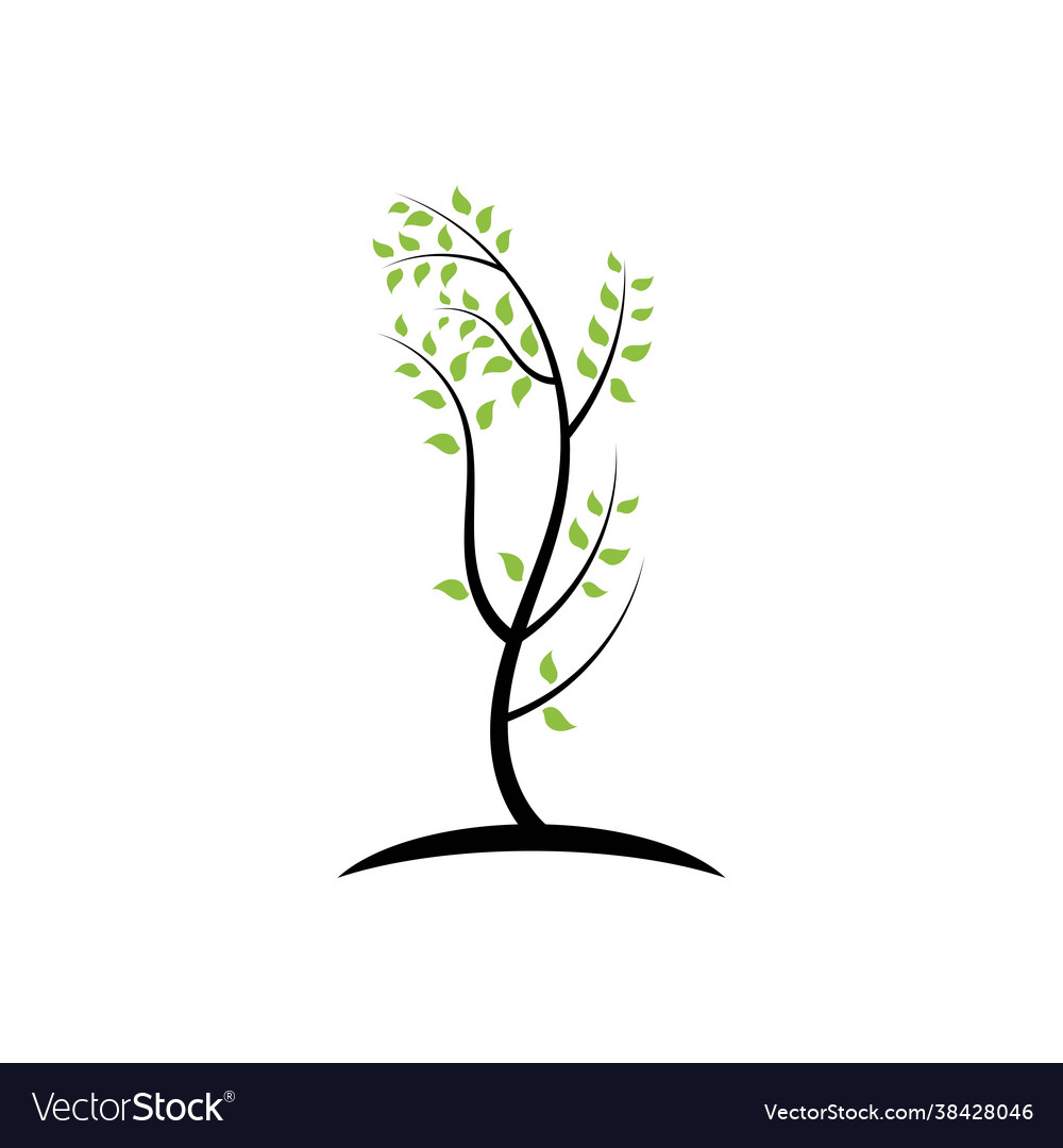 Tree branch design