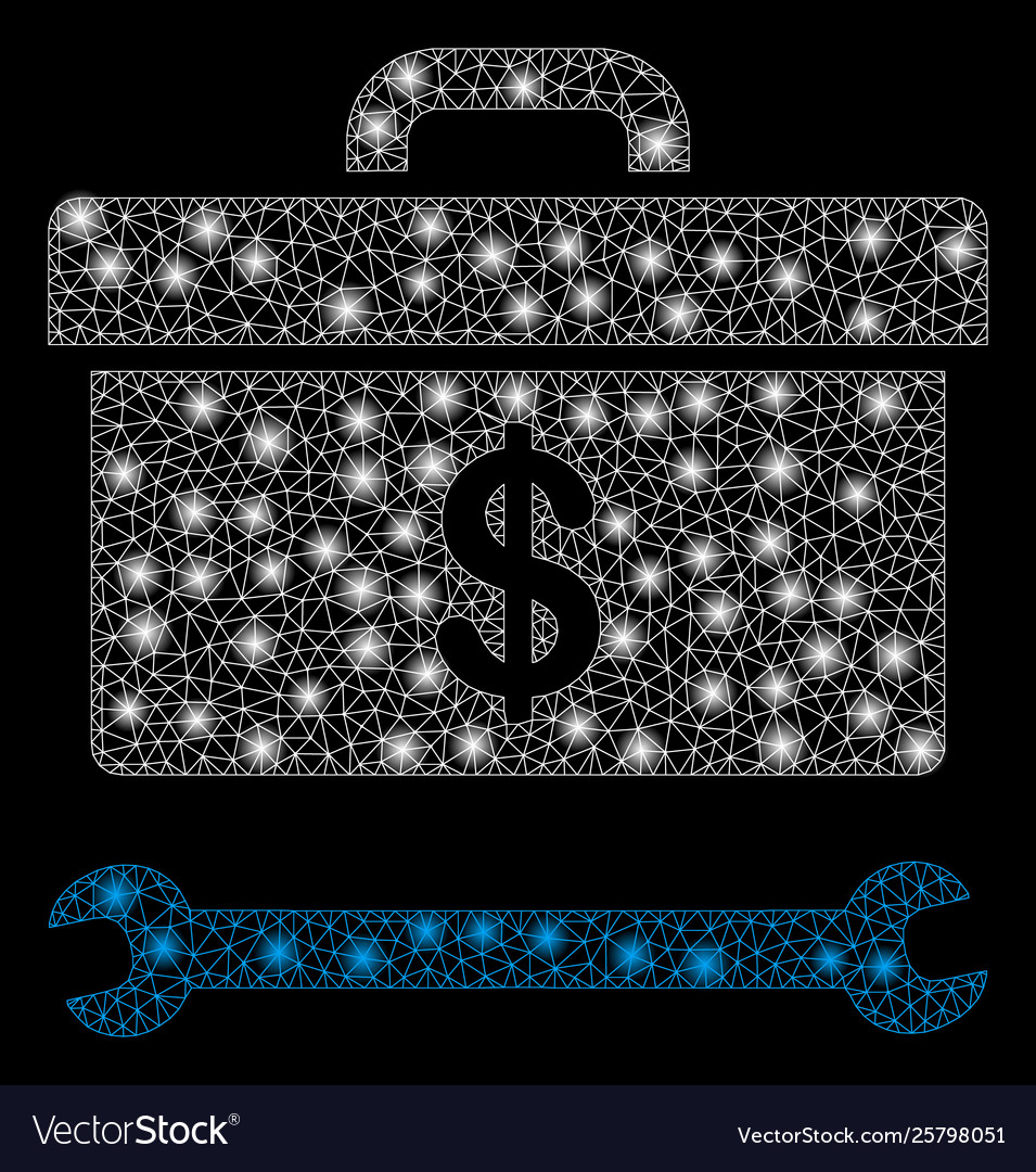 Bright mesh network dollar toolbox with flash vector image Bright mesh network dollar toolbox with flash
