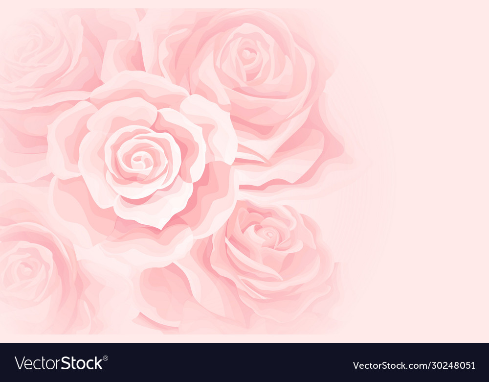 Flower soft background with cream rose bud