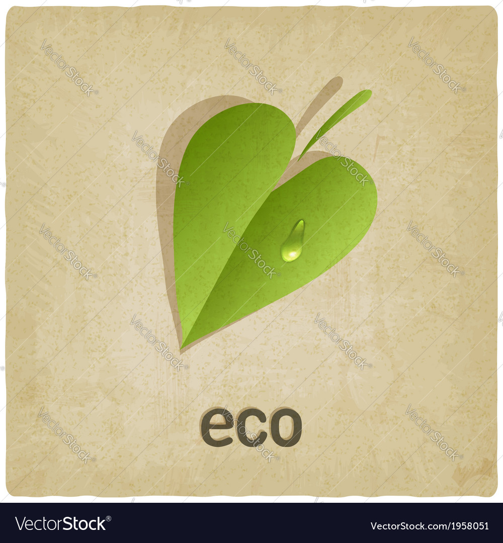 Leaf eco old background