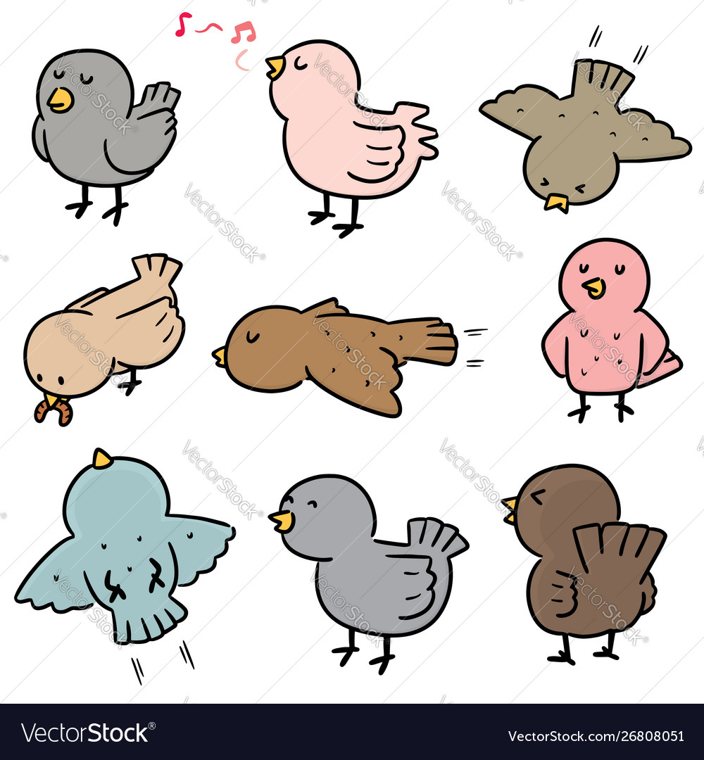 Set bird Royalty Free Vector Image - VectorStock