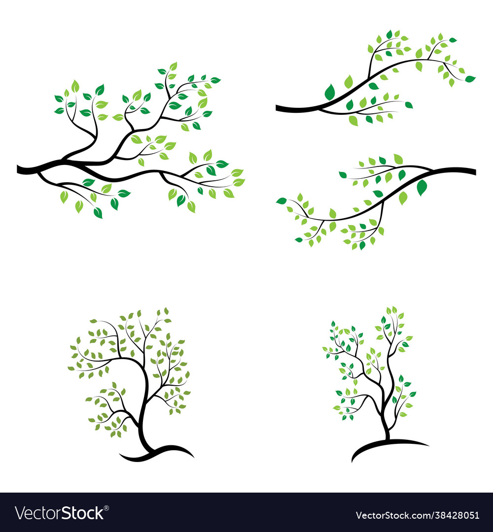 Tree branch design Vector Image Tree branch design